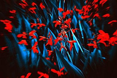 《光与影：33号远征队》总监对FF8情有独钟：不识字时就玩