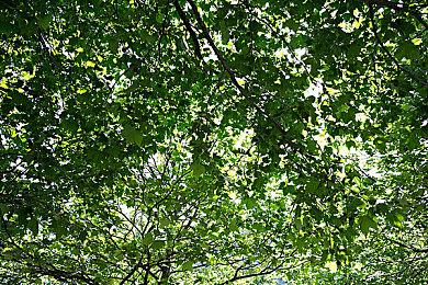 《守望先锋2》总监解释取消PvE原因：愿景太大无法实现